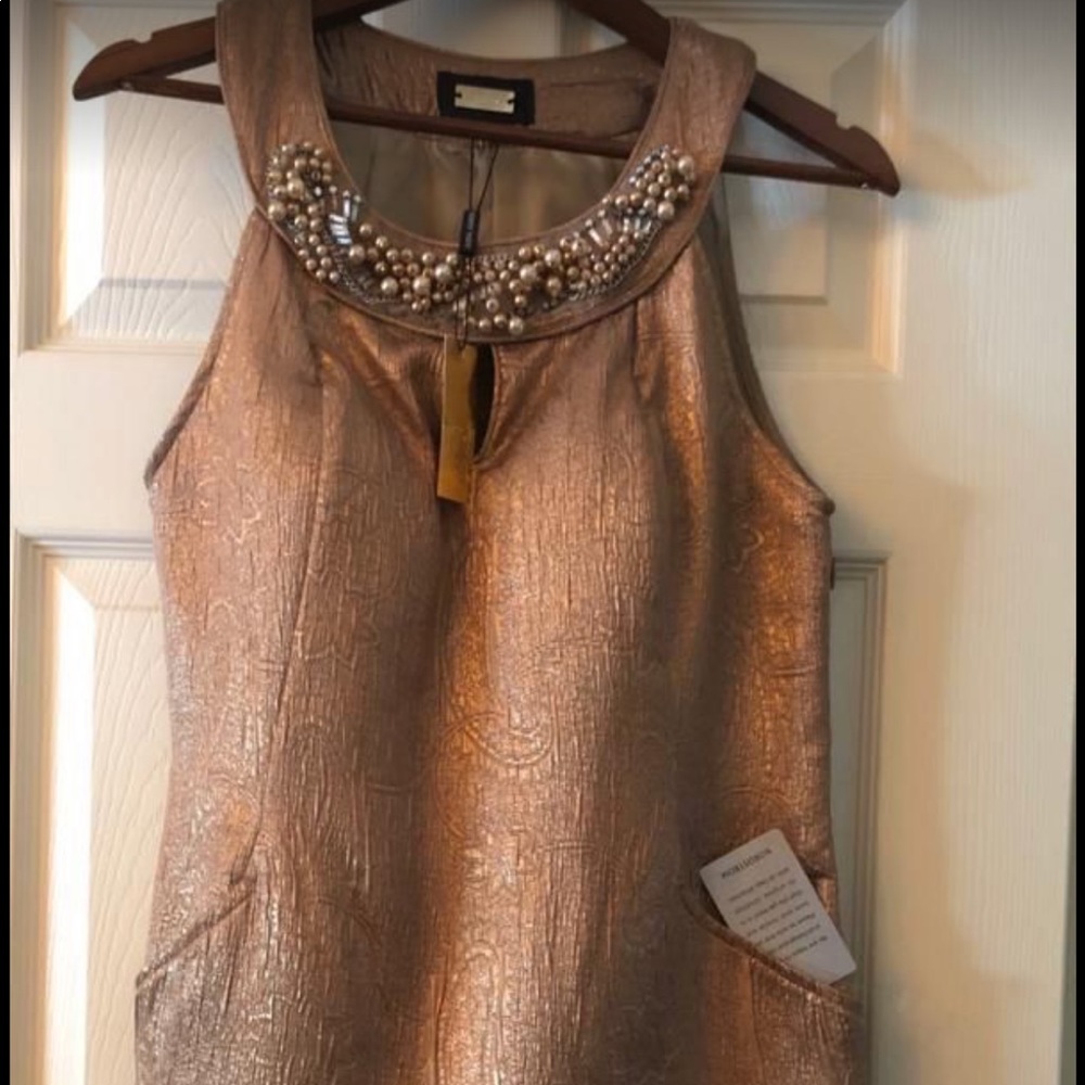 new elegant dress Alexia Aomor from Nordstrom